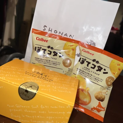 今日は11時から🐶