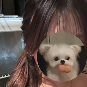 うなうな本日サイドポニーしてみましたっ🌷🐰どうかな〜(˙˙*)?💕の写真1枚目