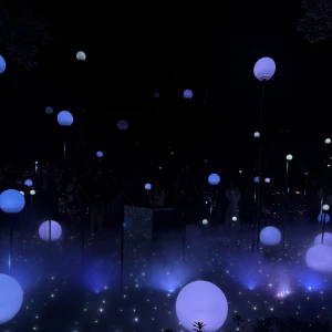 このあです🌟の写真1枚目