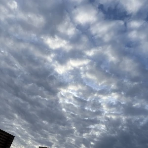 おはよぉー今日は曇り☁️の写真1枚目
