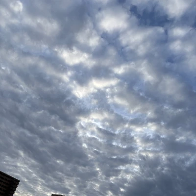 おはよぉー今日は曇り☁️