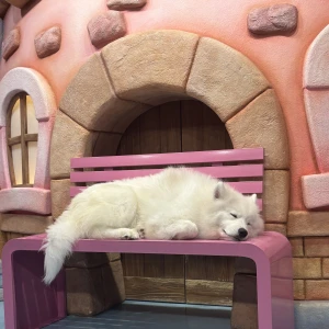 こんばんは!🌙えなです。の写真2枚目