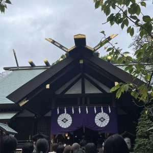本日も12時～います✨️🌰の写真1枚目