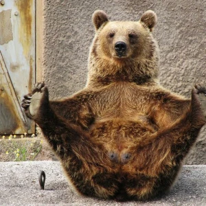 上野ハッピーギャングですの写真1枚目