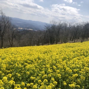 おはようございます☀のあです◡̈♥︎の写真1枚目