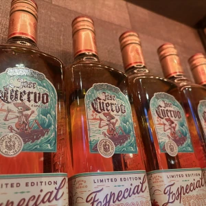 1/22の写真1枚目