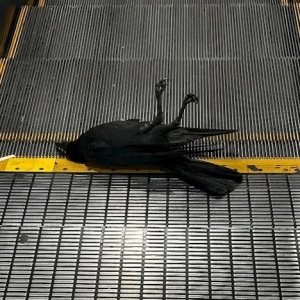5.10の写真3枚目