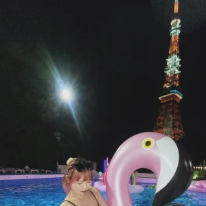 久しぶりに更新🩶🦩🩶の写真1枚目