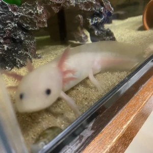 おはよ〜の写真1枚目