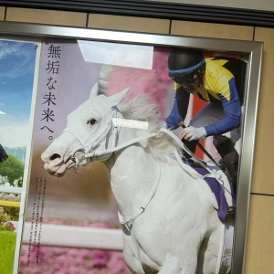 おはようございます。ゆまです🧸🥀の写真1枚目