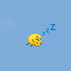 こんにちわん！みゆです(ᐡ´• ·̫•)ﾉ☆の写真1枚目