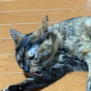 8.20の写真1枚目