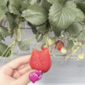 こんばんは！の写真1枚目