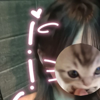 うなうなちゃんちゃん本日出勤してます🌷おいでにゃーん🐾🤍