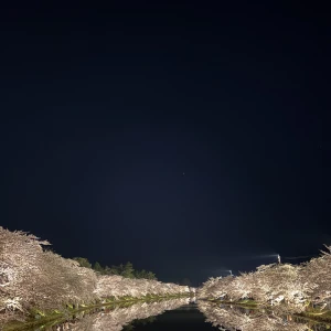 出勤してます✊🏻の写真1枚目