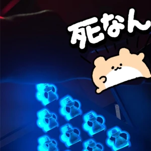 昨日の写真1枚目