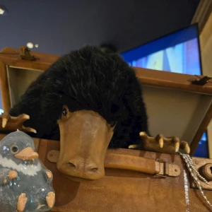 ドビーと二フラー💎の写真3枚目