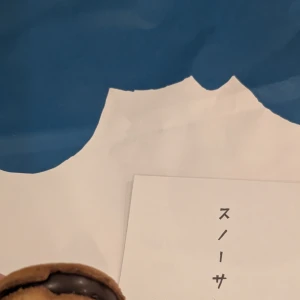 雨だねー(•ө•)♡の写真1枚目