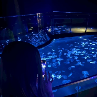 こんばんは！ようです！！