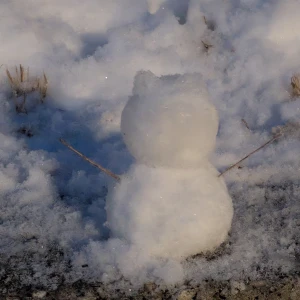 今回の雪、粉すぎて雪だるま作るの難しかった☃️❄の写真1枚目