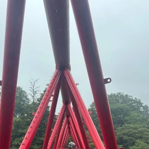 9.21の写真2枚目