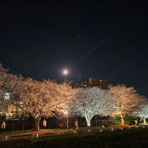こんにちわー🍀の写真1枚目