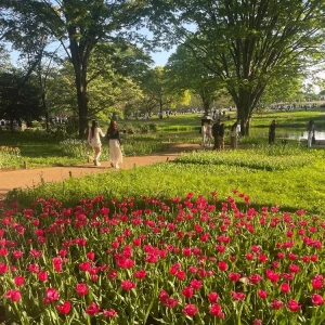 天国かな🌷💐の写真2枚目