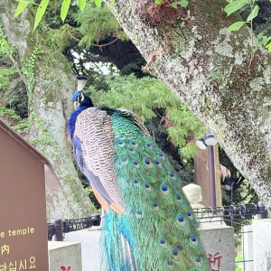 7/8 おやすみです♪の写真1枚目