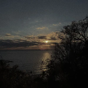 明けまして🎍🐴の写真1枚目