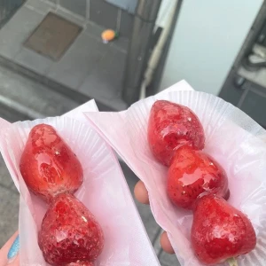 🍓の写真1枚目