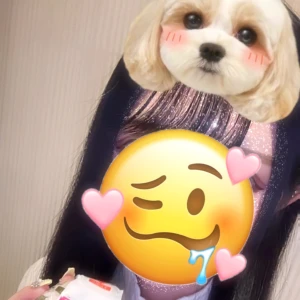 こんばんわん！みゆです🐶‪‪❤︎‬の写真1枚目