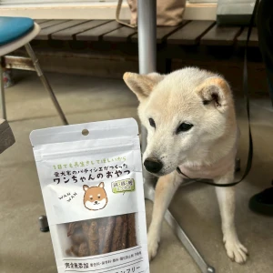 こんばんは🌟✨️あいです！の写真2枚目