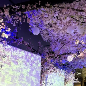 ましろ出勤🦖🐾の写真1枚目