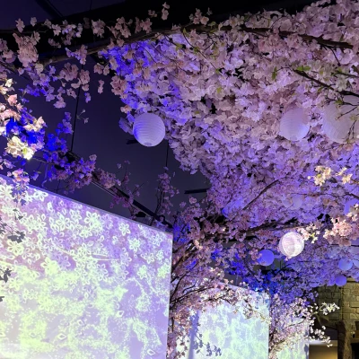 ましろ出勤🦖🐾