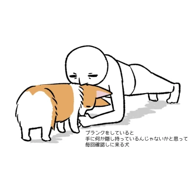 こんにちわん- ̗̀ ☀️  ̖́- みゆです！