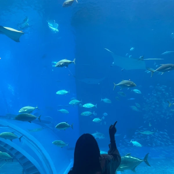 立川ガールズバー「マゼラ」