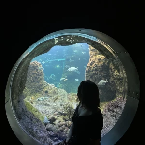 江ノ島行く前に食べ歩きもできて、の写真3枚目