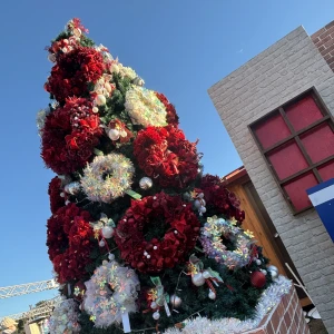 おはようございます✩.*˚の写真1枚目