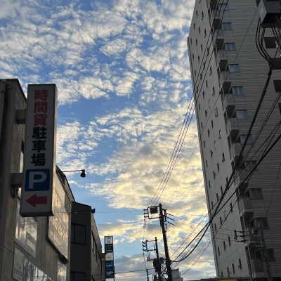見て見て👀