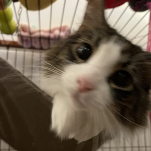 もえです🐰の写真1枚目