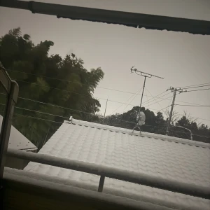 すごーい積もってるーの写真1枚目