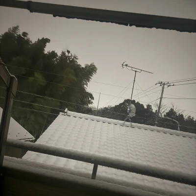 すごーい積もってるー