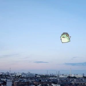 20時半から出勤します🐸の写真1枚目