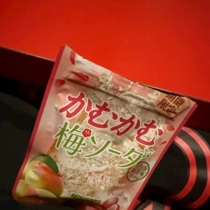 グミの写真1枚目