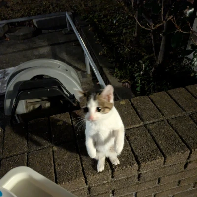 出勤してます😺