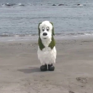 やほ！！の写真1枚目