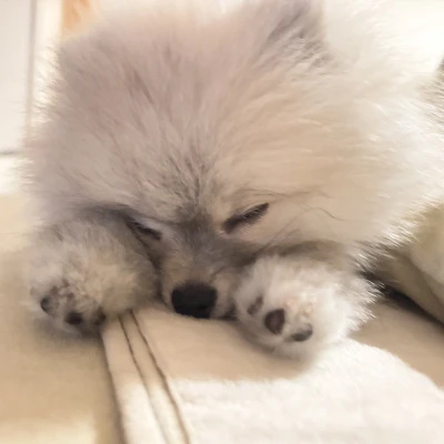 今日はお休みです🍀