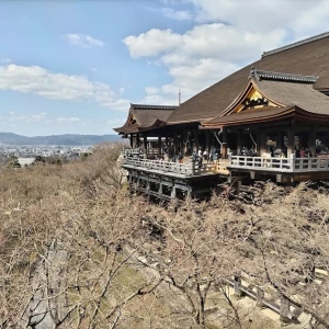 🐹🐹の写真1枚目