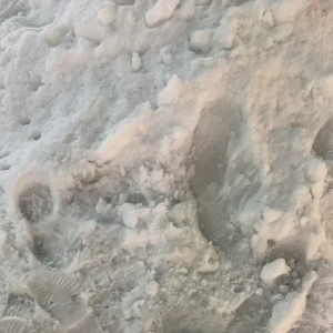 こんばんは！錦糸町ティアラりなです！の写真1枚目