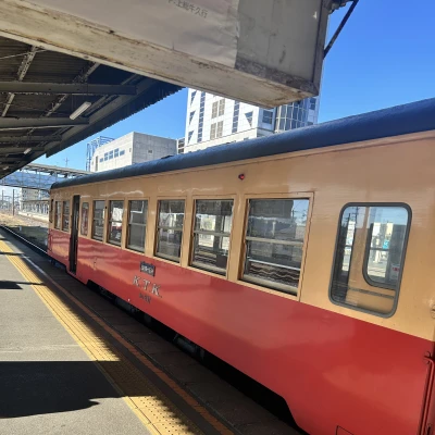 おはようございます。ゆまです🧸🥀